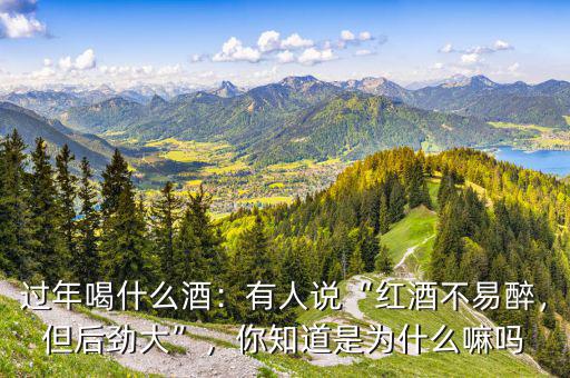 過年喝什么酒：有人說“紅酒不易醉，但后勁大”，你知道是為什么嘛嗎
