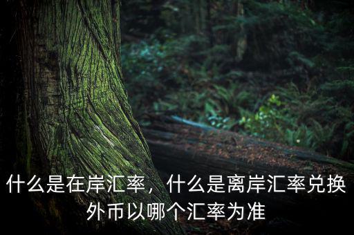 什么是在岸匯率，什么是離岸匯率兌換外幣以哪個匯率為準