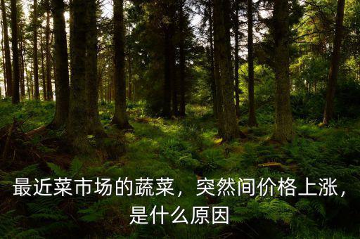 最近菜市場(chǎng)的蔬菜，突然間價(jià)格上漲，是什么原因