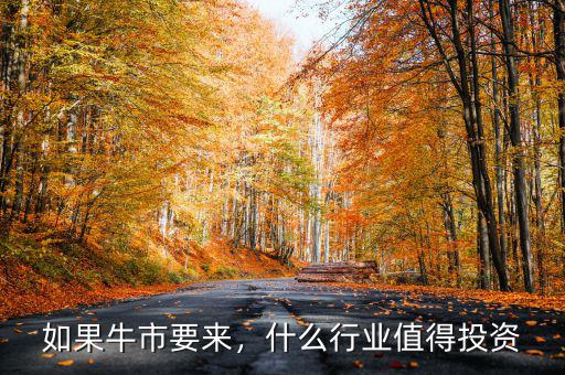 如果牛市要來(lái)，什么行業(yè)值得投資