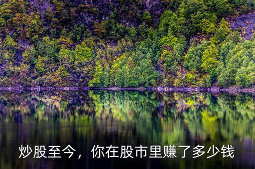 炒股至今，你在股市里賺了多少錢
