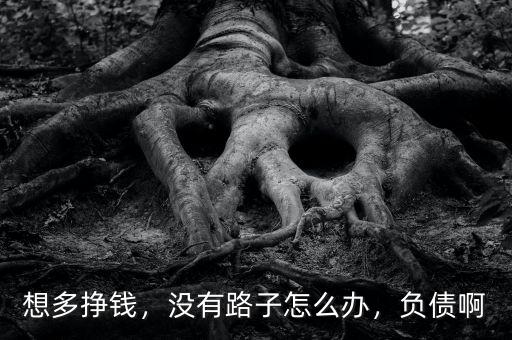 想多掙錢，沒(méi)有路子怎么辦，負(fù)債啊