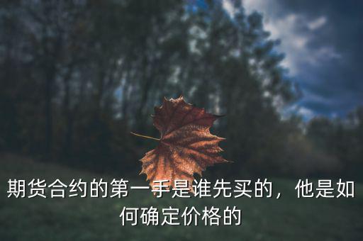 期貨合約的第一手是誰(shuí)先買的，他是如何確定價(jià)格的