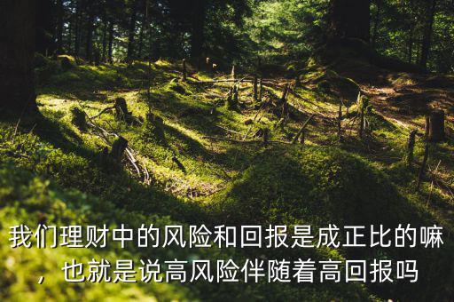 我們理財中的風險和回報是成正比的嘛，也就是說高風險伴隨著高回報嗎