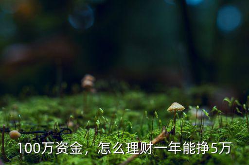 100萬資金，怎么理財一年能掙5萬
