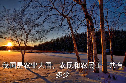 我國(guó)是農(nóng)業(yè)大國(guó)，農(nóng)民和農(nóng)民工一共有多少