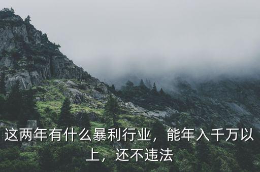 這兩年有什么暴利行業(yè)，能年入千萬以上，還不違法