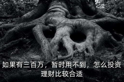 如果有三百萬，暫時用不到，怎么投資理財比較合適