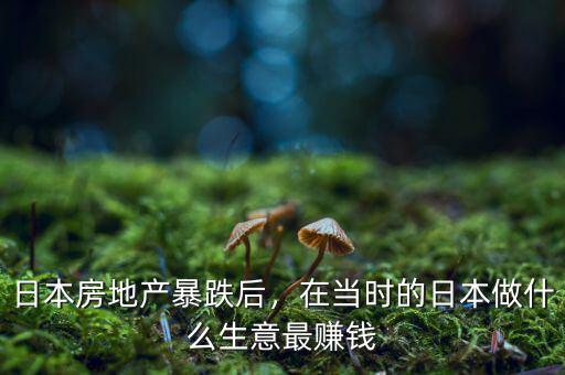 日本房地產(chǎn)暴跌后，在當(dāng)時的日本做什么生意最賺錢