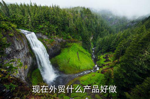 現(xiàn)在外貿什么產品好做