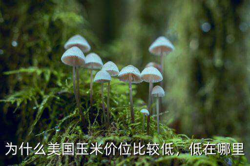 為什么美國(guó)玉米價(jià)位比較低，低在哪里