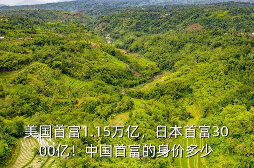 美國首富1.15萬億，日本首富3000億！中國首富的身價多少