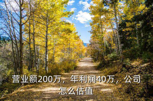 營業(yè)額200萬，年利潤40萬，公司怎么估值