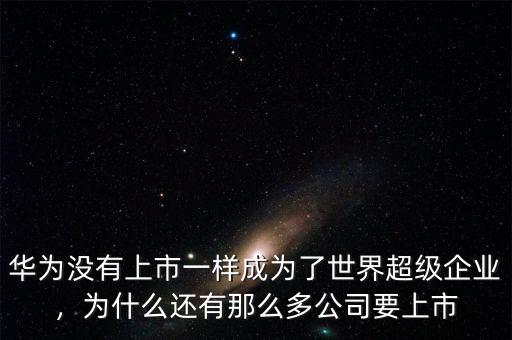 華為沒(méi)有上市一樣成為了世界超級(jí)企業(yè)，為什么還有那么多公司要上市