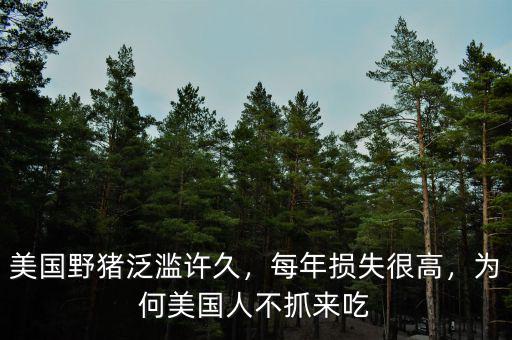美國野豬泛濫許久，每年損失很高，為何美國人不抓來吃