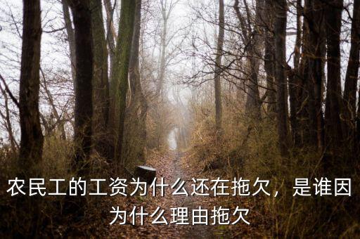 農(nóng)民工的工資為什么還在拖欠，是誰(shuí)因?yàn)槭裁蠢碛赏锨? class=