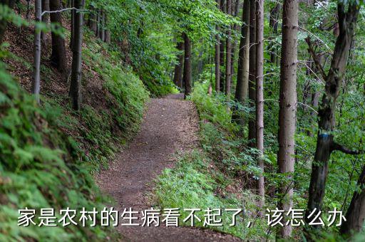家是農(nóng)村的生病看不起了，該怎么辦