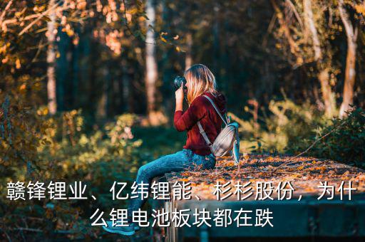 贛鋒鋰業(yè)、億緯鋰能、杉杉股份，為什么鋰電池板塊都在跌