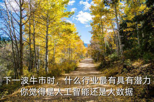 下一波牛市時(shí)，什么行業(yè)最有具有潛力你覺(jué)得是人工智能還是大數(shù)據(jù)