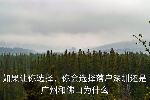 如果讓你選擇，你會選擇落戶深圳還是廣州和佛山為什么