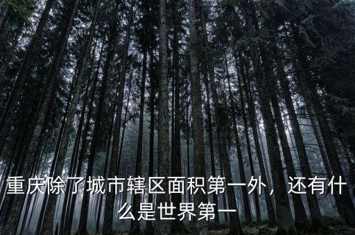 重慶除了城市轄區(qū)面積第一外，還有什么是世界第一