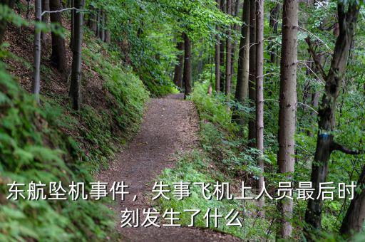 東航墜機事件，失事飛機上人員最后時刻發(fā)生了什么
