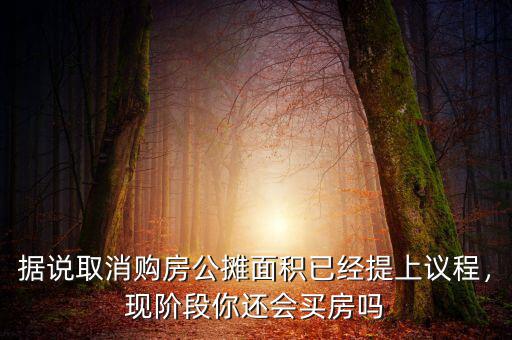 據(jù)說取消購房公攤面積已經(jīng)提上議程，現(xiàn)階段你還會買房嗎