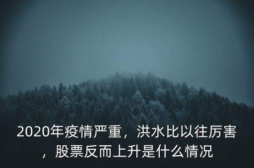2020年疫情嚴重，洪水比以往厲害，股票反而上升是什么情況