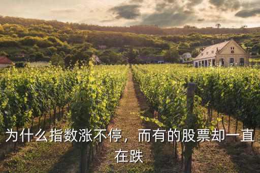 為什么指數(shù)漲不停，而有的股票卻一直在跌