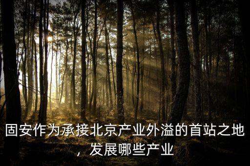 固安作為承接北京產(chǎn)業(yè)外溢的首站之地，發(fā)展哪些產(chǎn)業(yè)