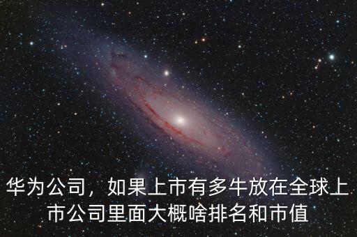 華為公司，如果上市有多牛放在全球上市公司里面大概啥排名和市值