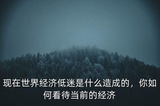 現(xiàn)在世界經(jīng)濟低迷是什么造成的，你如何看待當(dāng)前的經(jīng)濟