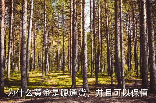 為什么黃金是硬通貨，并且可以保值