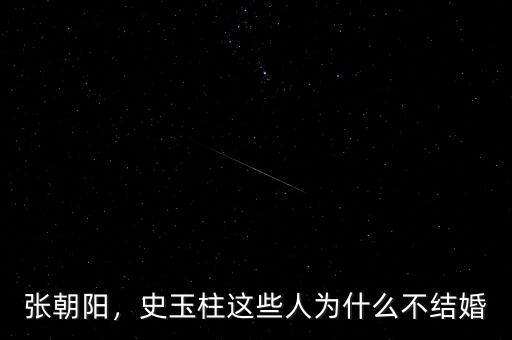 張朝陽，史玉柱這些人為什么不結(jié)婚