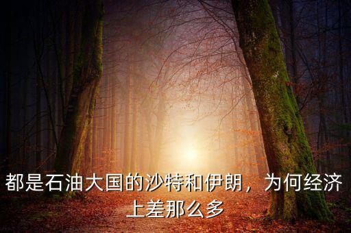 都是石油大國的沙特和伊朗，為何經(jīng)濟上差那么多