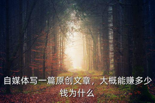 自媒體寫一篇原創(chuàng)文章，大概能賺多少錢為什么