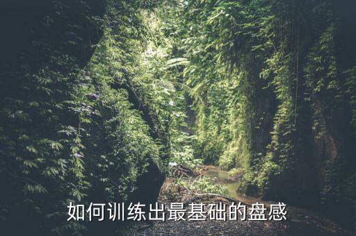 如何訓(xùn)練出最基礎(chǔ)的盤(pán)感