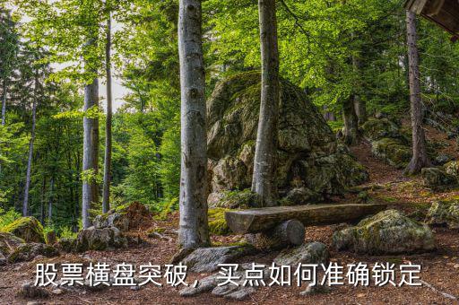 股票橫盤(pán)突破，買(mǎi)點(diǎn)如何準(zhǔn)確鎖定