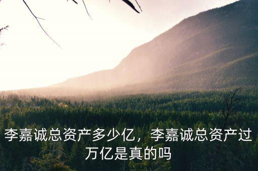 李嘉誠(chéng)總資產(chǎn)多少億，李嘉誠(chéng)總資產(chǎn)過(guò)萬(wàn)億是真的嗎