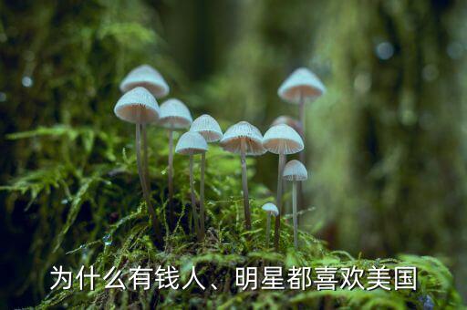 為什么有錢人、明星都喜歡美國(guó)