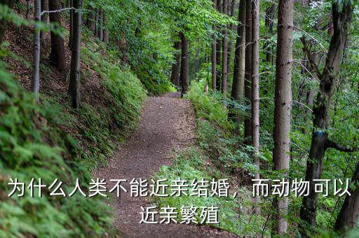 為什么人類不能近親結婚，而動物可以近親繁殖