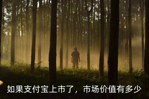 如果支付寶上市了，市場(chǎng)價(jià)值有多少