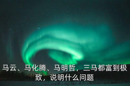 馬云、馬化騰、馬明哲，三馬都富到極致，說明什么問題