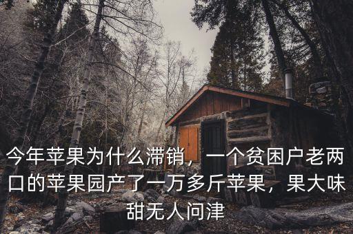 今年蘋果為什么滯銷，一個貧困戶老兩口的蘋果園產了一萬多斤蘋果，果大味甜無人問津