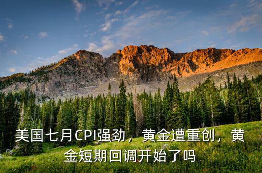 美國七月CPI強勁，黃金遭重創(chuàng)，黃金短期回調(diào)開始了嗎