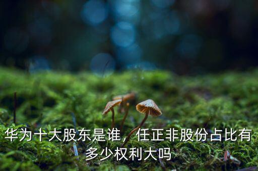 華為十大股東是誰，任正非股份占比有多少權利大嗎