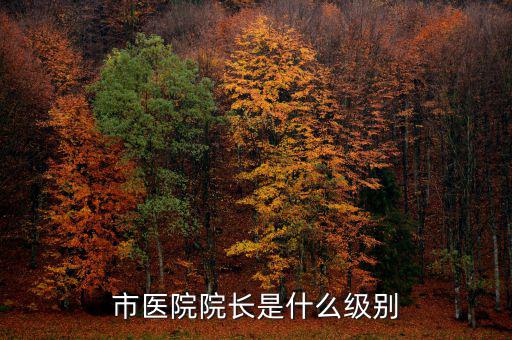 宋志平是什么級別,快退休公務員一般是什么級別