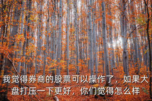 我覺得券商的股票可以操作了，如果大盤打壓一下更好，你們覺得怎么樣