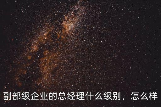 副部級企業(yè)的總經(jīng)理什么級別，怎么樣