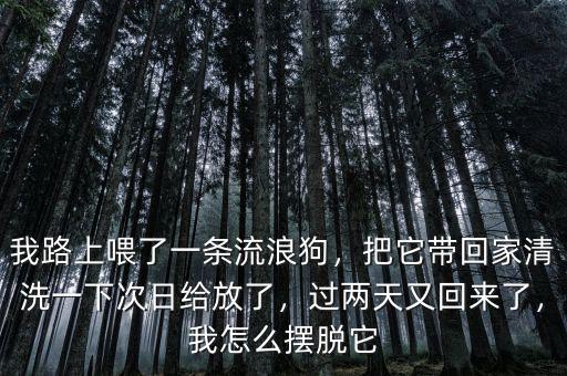 我路上喂了一條流浪狗，把它帶回家清洗一下次日給放了，過兩天又回來(lái)了，我怎么擺脫它